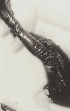 Dominique Gay, travestis, prostitutas en Santiago |  Dominadora- mujer rubia natural - dominique - spanking - facesitting - milf - black kiss, Ama muy dominadora