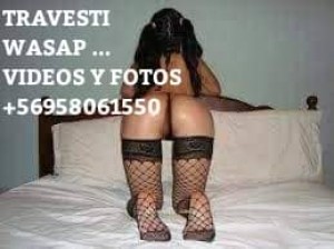 Cataleya 18 a&ntilde;os Gay, travestis, prostitutas en Santiago |  Hombres ya basta!! cansate aburrete de las vaginas es ahora de experimentar de una travesti 18, Te lo mamo mejor k mina mira mis videos mios reales