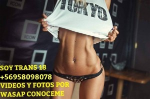Cataleya 18 a&ntilde;os Gay, travestis, prostitutas en Santiago |  Cataleya 18 full anal y oral activa y pasiva wasapeame +56958098078  dpto sin conserje ven ahora , Mira mis videos y fotos 958098078 wasapeame ven ahora 